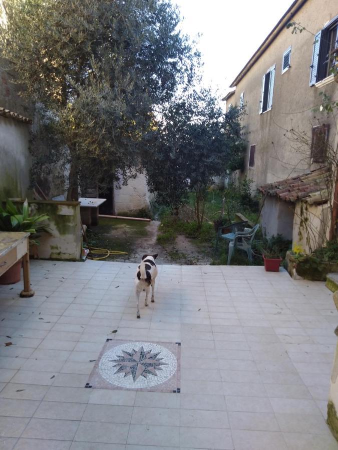 Casa Vacanza Zia Ersilia Rotondi エクステリア 写真