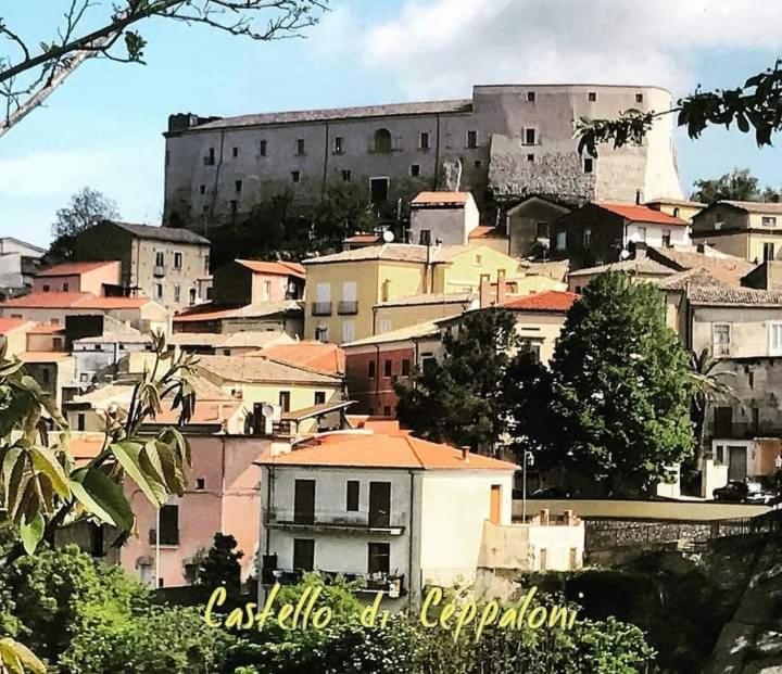 Casa Vacanza Zia Ersilia Rotondi エクステリア 写真